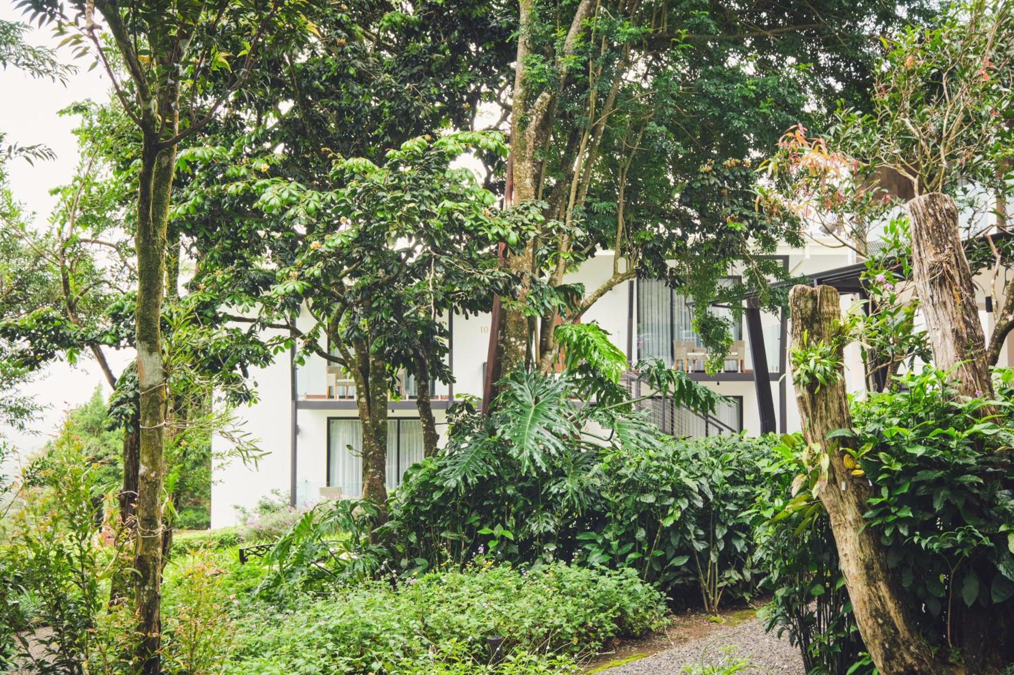 Ocotea Boutique Hotel Monteverde Exterior foto